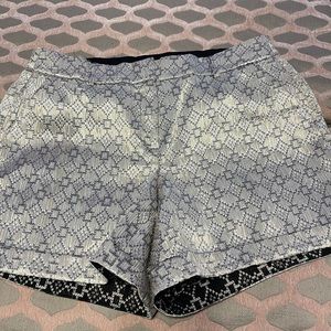 Lane Bryant Iridescent Shorts